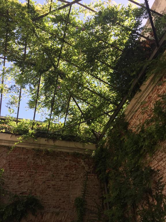 El Patio De Las Glicinas Колонія-дель-Сакраменто Екстер'єр фото