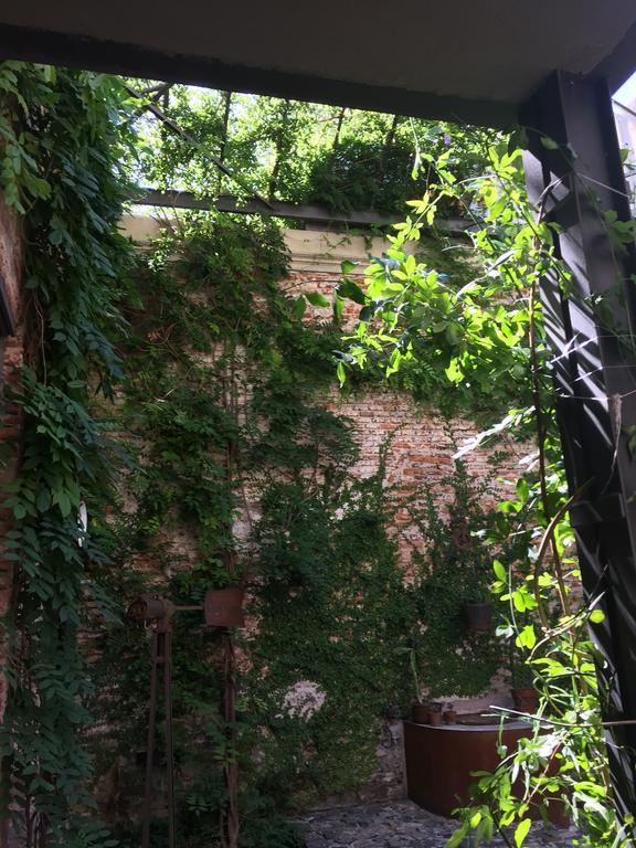 El Patio De Las Glicinas Колонія-дель-Сакраменто Екстер'єр фото
